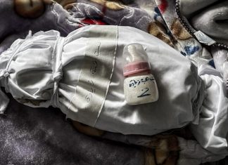 Crecen las muertes por hambre en Gaza: 217 fallecidos, entre ellos 100 menores Cinco personas más fallecieron por inanición en las últimas 24 horas, según el Ministerio de Salud del enclave.