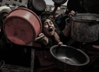 ONU advierte que el hambre en Gaza dejará secuelas por generaciones La ONU propone presencia de fuerzas de paz ante el bloqueo del Consejo de Seguridad por el veto de EE.UU.