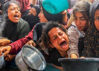 Personal de ONU lanza mensajes desesperados de hambre desde Gaza Uno de cada cinco niños en Gaza sufre desnutrición severa