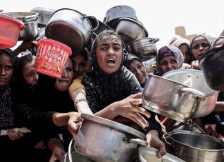 ONU declara la hambruna en Gaza ONU acusa a Israel de bloquear ayuda y usar el hambre como arma