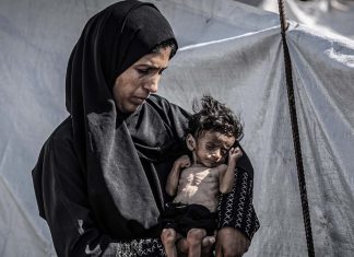 Hambre impuesta por Israel en Gaza asesina a otros 180 palestinos ONU alerta crisis humanitaria extrema en Gaza por falta de alimentos