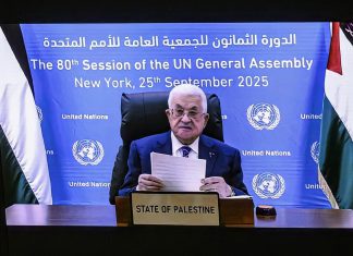 Palestina: Israel aplica en Gaza una política de exterminio Palestina pide un alto al fuego inmediato y entrada sin restricciones de ayuda humanitaria