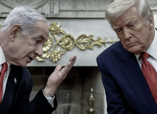 Plan Trump, las garras sobre Gaza