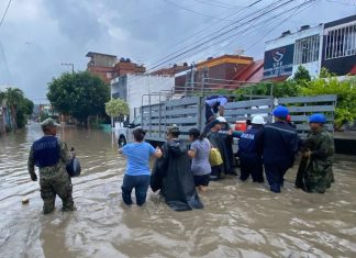 Suman 37 fallecidos por fuertes lluvias en cinco estados de México Las lluvias han causado inundaciones severas en varios estados, dejando daños materiales y pérdidas humanas.