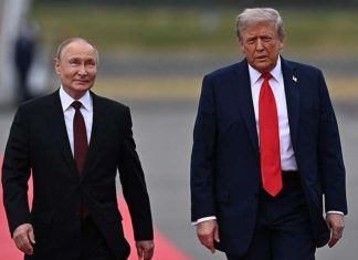 Trump y Putin se reunirán en Hungría Presidentes de EEUU y Rusia alistan cumbre en Hungría en busca de solución al conflicto en Ucrania.