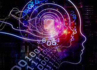 Crean neurona artificial que imita la actividad eléctrica del cerebro humano