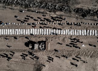 EEUU admite crímenes de Israel en Gaza Entre los casos investigados figuran asesinatos de trabajadores humanitarios y civiles palestinos