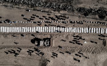 EEUU admite crímenes de Israel en Gaza Entre los casos investigados figuran asesinatos de trabajadores humanitarios y civiles palestinos