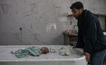 Ataque israelí destruyó 4000 embriones en Gaza Israel busca una “limpieza étnica biológica” contra el pueblo palestino denuncia jueza sudafricana