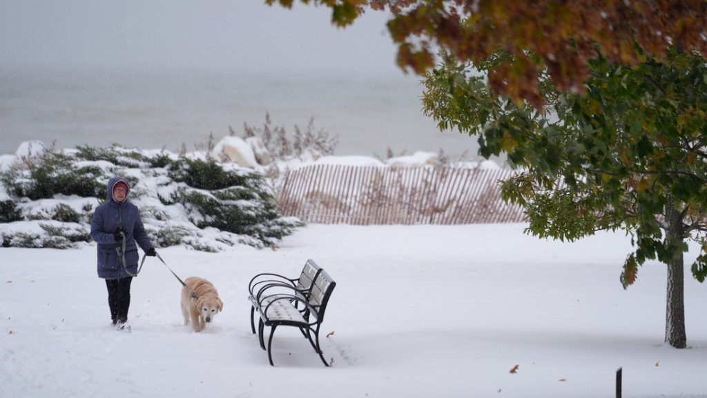 Hasta las iguanas caen de los árboles por el impacto del frío extremo.