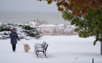 Histórica ola de frío congela Estados Unidos Hasta las iguanas caen de los árboles por el impacto del frío extremo.