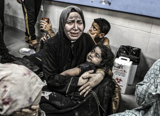 ONU revela torturas de Israel durante el alto el fuego en Gaza Naciones Unidas exigen apertura total de pasos fronterizos hacia Gaza