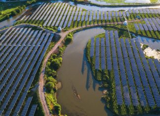 China amplía alianzas internacionales para impulsar la industria verde Beijing fortalecerá su energía solar y eólica para liderar la transición mundial baja en carbono