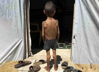 ONU: restricciones de Israel disparan la desnutrición infantil en Gaza Unicef denuncia niveles críticos de desnutrición infantil en Gaza