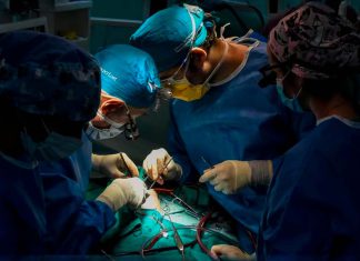 Trasplantes de riñón serán gratuitos en Rusia Moscú amplía garantías estatales para trasplantes renales