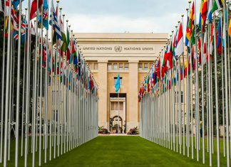 Expertos de la ONU denuncian como ilegal el bloqueo de combustible contra Cuba Expertos de la ONU denuncian como ilegal el bloqueo de combustible contra Cuba