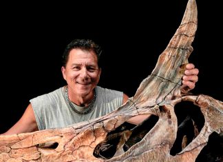 Descubren una nueva especie de espinosaurio en el Sáhara Hallazgo en Níger redefine la historia de los gigantes del Cretácico