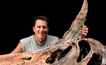 Descubren una nueva especie de espinosaurio en el Sáhara Hallazgo en Níger redefine la historia de los gigantes del Cretácico