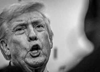 Trump: “No tengo nada contra el papa”; tras atacarlo Trump niega conflicto con el papa León XIV