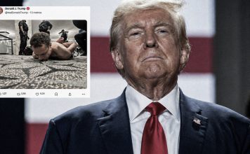 Atacante en cena de la Casa Blanca llama pedófilo a Trump Trump lo califica de “enfermo” y autoridades investigan fallas de seguridad