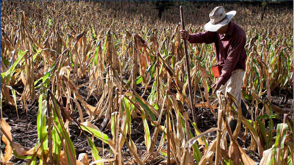 Más de 1.000 millones de personas podrían ver en riesgo sus medios de vida sin medidas urgentes