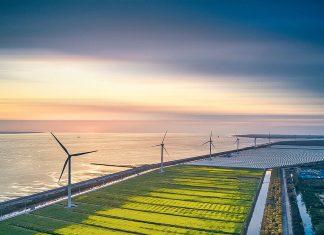 China plantea estrategias para ahorro energético y reducción de emisiones Plan integral para reducir emisiones y transformar sectores estratégicos