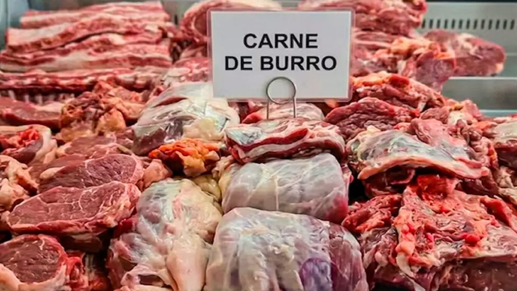 Polémica por venta de carne de burro y nuevos hábitos alimenticios ante la caída del poder adquisitivo