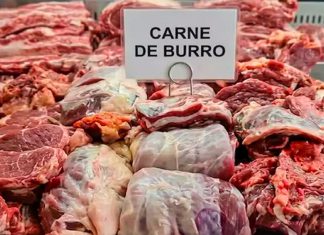 Crisis en Argentina: Consumen carne de burro para enfrentar el hambre Polémica por venta de carne de burro y nuevos hábitos alimenticios ante la caída del poder adquisitivo