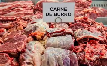 Crisis en Argentina: Consumen carne de burro para enfrentar el hambre Polémica por venta de carne de burro y nuevos hábitos alimenticios ante la caída del poder adquisitivo