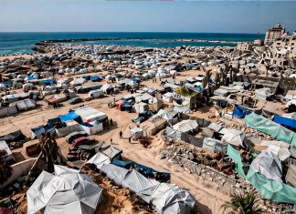 Más de 70 mil infecciones en Gaza por plagas en refugios, advierte la OMS La destrucción del sistema de salud eleva la crisis humanitaria y retrasa evacuaciones