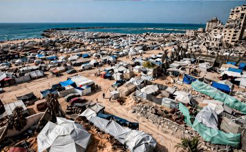 Más de 70 mil infecciones en Gaza por plagas en refugios, advierte la OMS La destrucción del sistema de salud eleva la crisis humanitaria y retrasa evacuaciones