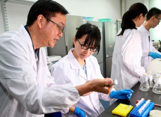 China logra histórica clonación de genética animal China acelera la innovación genética en el agro