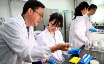 China logra histórica clonación de genética animal China acelera la innovación genética en el agro