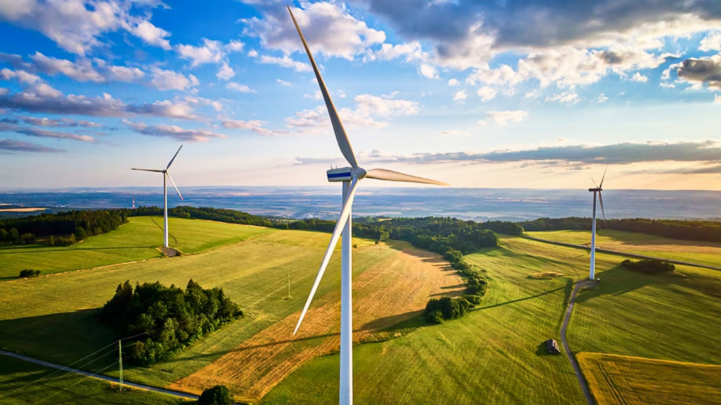 Plan bilateral prioriza innovación ecológica, transferencia tecnológica y finanzas verdes