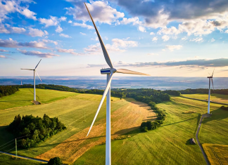 China y Vietnam fortalecen alianza verde con proyectos en energía limpia Plan bilateral prioriza innovación ecológica, transferencia tecnológica y finanzas verdes