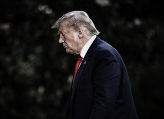Donald Trump bajo burlas por suspender operativo en Ormuz La decisión fue interpretada como una señal de repliegue frente a la presión iraní