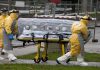 EEUU niega ingreso a médico expuesto al ébola OMS alerta sobre aumento de casos sospechosos de ébola en África