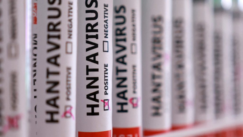 Hantavirus deja alta mortalidad y alerta sanitaria en Argentina