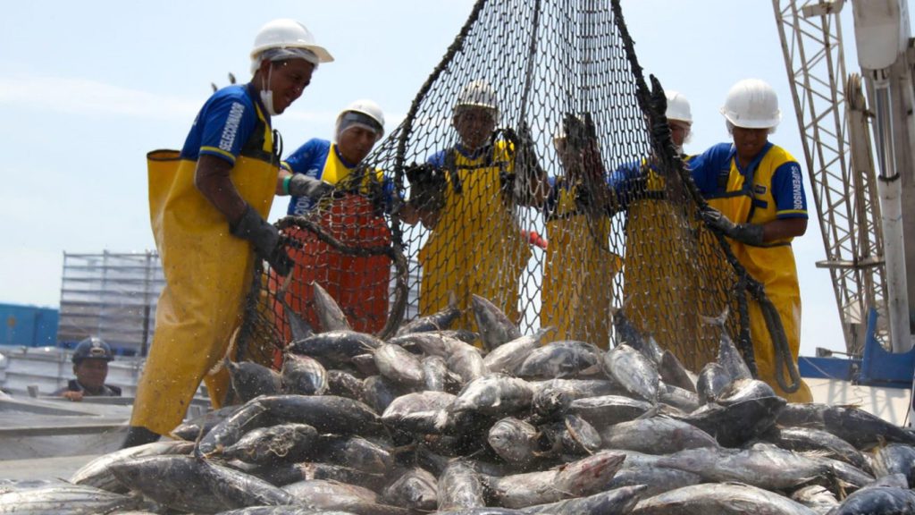 Aunque destaca en las exportaciones globales, el consumo interno de productos acuáticos sigue por debajo del promedio mundial