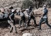 Colonos israelíes roban ganado y destruyen cultivos en Palestina como política de anexión con respaldo militar Los colonos israelíes han intensificado sus ataques contra comunidades palestinas en Cisjordania, reduciendo el ganado en un 70 % en los últimos cuatro años.