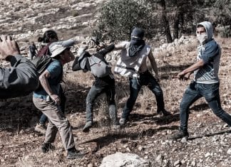 Colonos israelíes roban ganado y destruyen cultivos en Palestina como política de anexión con respaldo militar Los colonos israelíes han intensificado sus ataques contra comunidades palestinas en Cisjordania, reduciendo el ganado en un 70 % en los últimos cuatro años.