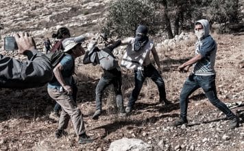 Colonos israelíes roban ganado y destruyen cultivos en Palestina como política de anexión con respaldo militar Los colonos israelíes han intensificado sus ataques contra comunidades palestinas en Cisjordania, reduciendo el ganado en un 70 % en los últimos cuatro años.