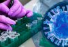 EEUU financió investigaciones sobre coronavirus con fines pandémicos Las investigaciones acusan a Anthony Fauci de influir en organismos de inteligencia para desacreditar la hipótesis de una fuga de laboratorio