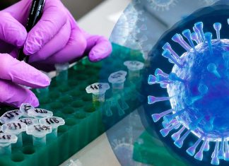EEUU financió investigaciones sobre coronavirus con fines pandémicos Las investigaciones acusan a Anthony Fauci de influir en organismos de inteligencia para desacreditar la hipótesis de una fuga de laboratorio