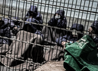 Prisioneros palestinos denuncian torturas e impunidad en centros israelíes Gaza exige justicia ante nuevas denuncias de tortura, violencia sexual e impunidad en centros de detención israelíes