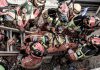 Sube la cifra de muertos por terremotos en Venezuela Autoridades contabilizan más de 500 réplicas desde los sismos del 24 de junio