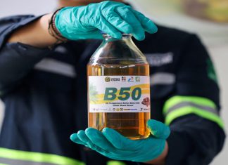 Indonesia lidera la transición hacia el biodiésel de palma Indonesia combina seguridad energética, desarrollo industrial y sostenibilidad