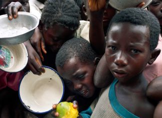 El hambre golpea a 645 millones de personas en el mundo Conflictos, crisis climática y altos precios alejan la meta de Hambre Cero