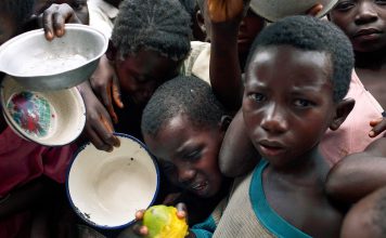 El hambre golpea a 645 millones de personas en el mundo Conflictos, crisis climática y altos precios alejan la meta de Hambre Cero