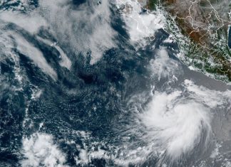 Genevieve baja a categoría 3 tras alcanzar la máxima intensidad en el Pacífico Lluvias y riesgo de deslaves mantienen bajo vigilancia a Baja California Sur